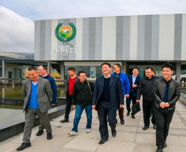 集團(tuán)黨委書記、董事長(zhǎng)任丁率隊(duì)調(diào)研聚峰谷