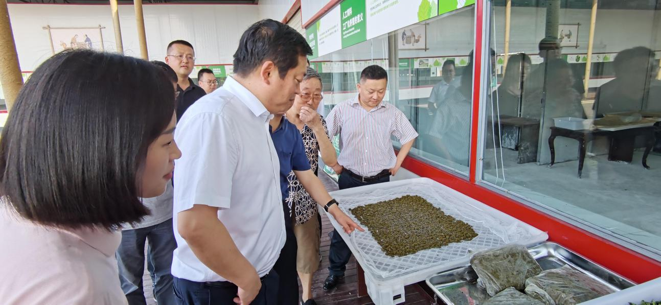 省旅投集團黨委副書記、董事陳日赴嘉陵區(qū)調(diào)研茶桑產(chǎn)業(yè)發(fā)展情況