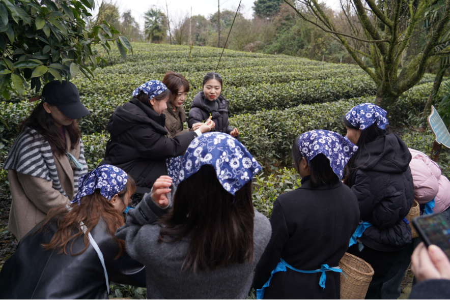 省旅投集團(tuán)下屬企業(yè)組織開(kāi)展“三八”國(guó)際勞動(dòng)?jì)D女節(jié)主題活動(dòng)